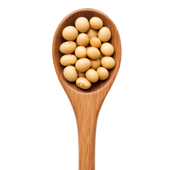 Soybeans in a wooden spoon on a transparent background highlighting the natural texture and color of the legumes, Soy beans in wood spoon isolated on transparent background png