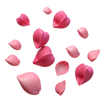 beautiful creative Pink Petals 3D Illustration premium png
