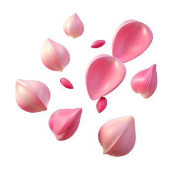 serene artistic Pink Petals 3D Illustration authentic png