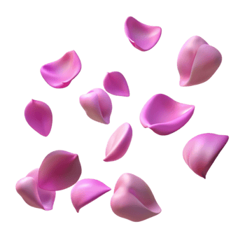 dramatic modern Pink Petals 3D Illustration high quality png