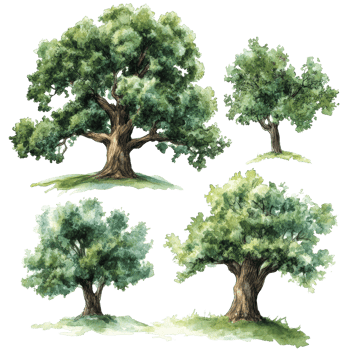 A collection of watercolor oak trees on a transparent background showcasing natures beauty and detail, 3D icon of a cute tree in birght green color isolated transparent background png