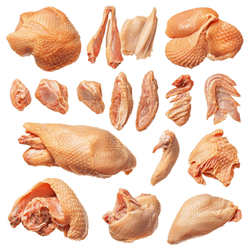 A collage of isolated raw chicken parts displayed on a transparent background for culinary use and food preparation, Isolated whole raw chicken parts collage png