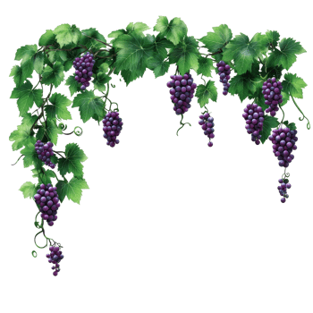 A vibrant garland of grape branches and lush green leaves perfect for decoration and natural aesthetics, grapes branch and leaves hanging garland isolated on transparent backgroud png