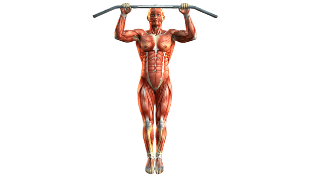 A man is doing pull ups on a bar png