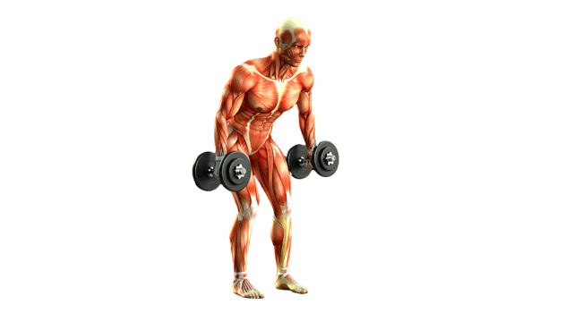 A man is doing a dumbbell exercise on a black background png