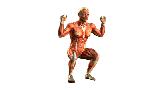 A man is doing squats on a black background png