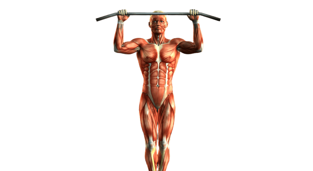 A man is doing pull ups on a bar png