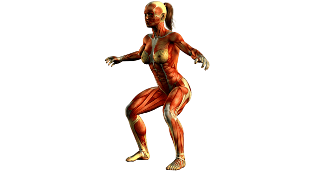 A woman with muscles on her body png