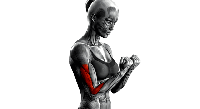 A woman with a red arm and muscle png
