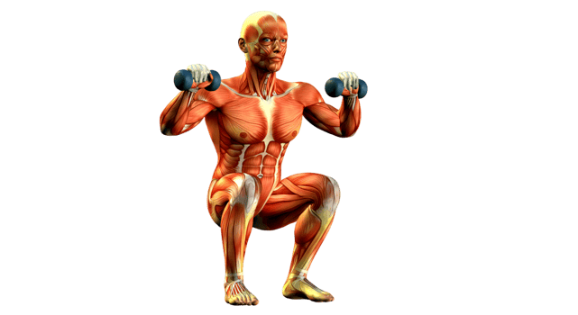A man is doing squats with a dumbbell png