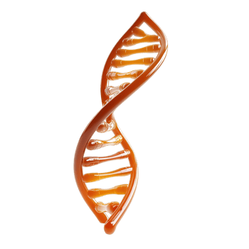Amber colored three dimensional DNA model Isolated on Transparent Background. png