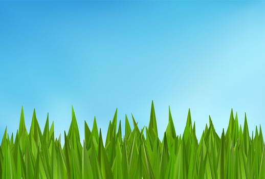 Green grass 3d bush header. Blue clear sky background. Spring field summer texture. Meadow landscape, football lawn. Natural park plant border. Fresh hill land layout illustration. Easter farm vector
