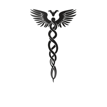 Caduceus medical symbol in black silhouette on a transparent background with stylish decor, Caduceus Medical Symbol transparent background png