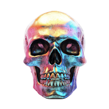 Colorful realistic skull displayed on a transparent background, showcasing vibrant hues and intricate details, Realistic colorful two skulls on transparent background. Skull transparent background png