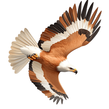 Majestic eagle soaring with outstretched wings symbolizes freedom and power png