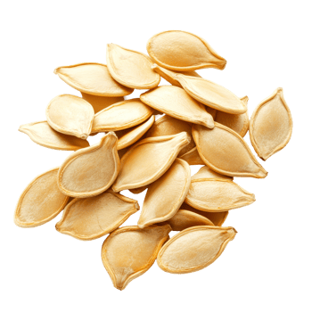 Fresh pumpkin seeds isolated on a clean transparent background, perfect for roasting or planting in garden beds, Pumpkin seeds isolated on transparent background png