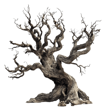 A twisted old tree stands alone against a stark transparent background, creating a haunting atmosphere, old dead spooky tree isolated on transparent background png