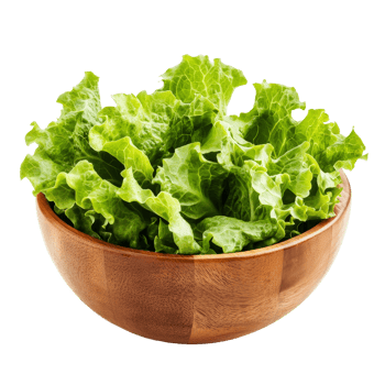 Fresh green lettuce leaves in a wooden bowl on a transparent background for healthy meal preparation, Lettuce leaves in wood bowl isolated on transparent background png