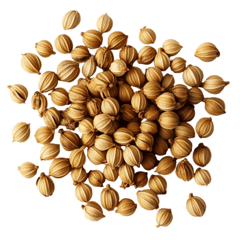 Coriander seeds beautifully spread on a transparent background, showcasing their light brown color and distinct oval shape in great detail, Coriander seeds on transparent background png