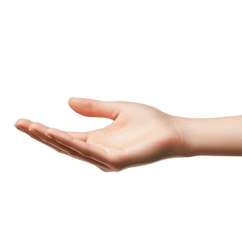 A womans hand holding something against a plain transparent background, symbolizing openness and invitation, woman hand holding somethingisolated on transparent background png