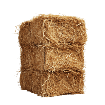 A stack of hay bales on a clean transparent background showcasing agricultural products and farming essentials, Hay Stack on transparent background png