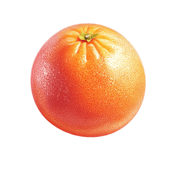Fresh grapefruit on a clean transparent background showcasing its vibrant color and texture, Grapefruit isolated on transparent background png