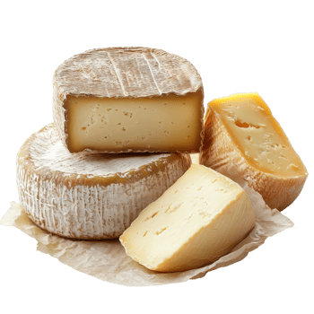 A selection of gourmet cheese varieties arranged on a clean transparent background, Delicious cheese on transparent background png