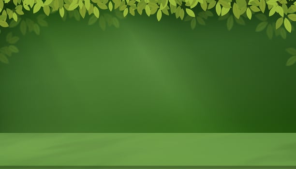 Green Background with Light,Shadow Leaves on Floor for Spring Banner,Studio room spring leave shadow blurry gradient on wall and podium display for Easter, Summer backdrop product present vector