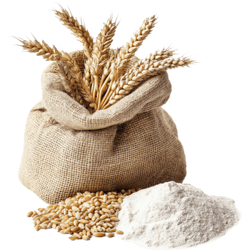 Wheat rye barley oat seeds isolated, Wheat seed and flour in small burlap sack illustration, oats image png