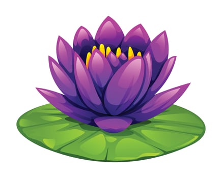 Purple water lily flower blooming on lily pad. Cartoon illustration vector