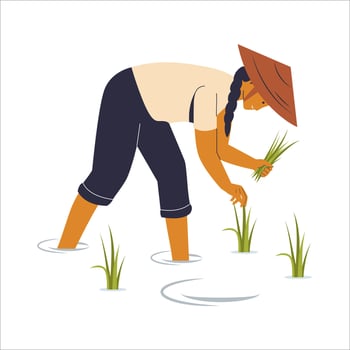 Illustration of Farmer Harvesting Rice vector