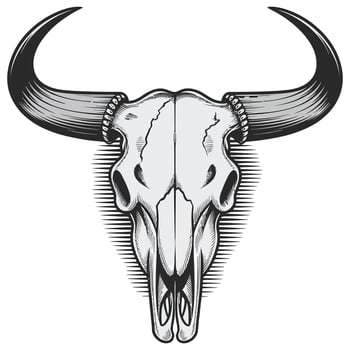 Bull skull with horns and long horns on a white background vector