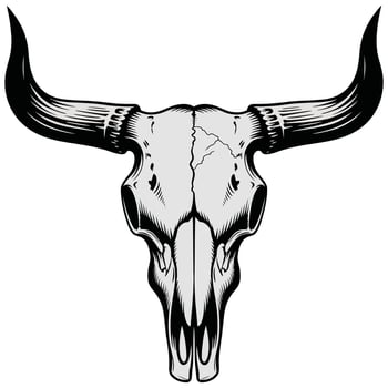 Black and White Bull Skull Outline. vector
