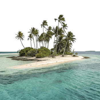 An island with palm trees in the middle of the ocean png