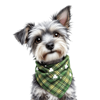 A small dog wearing a green bandana png
