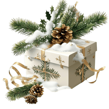 White Christmas Gift Box with Pine Cones and Green Fir Branches png