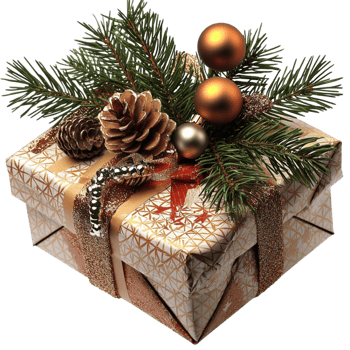 A Beautifully Wrapped Christmas Gift Box png