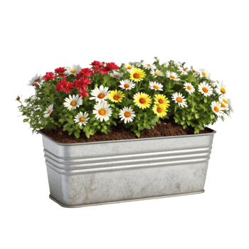 Vibrant daisies in red, white, and yellow bloom inside a rectangular silver metal planter, isolated, nature's beauty png