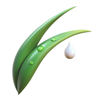impressive rustic A single blade of grass with water droplets, macro photography, soft morning light original png