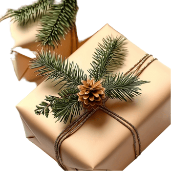 A Christmas gift box with golden ribbon and pine branches png