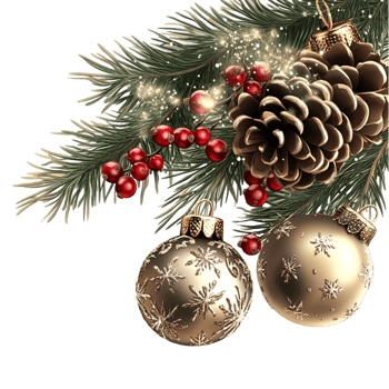 Christmas decoration with pine branches red berries pine cones and golden baubles png
