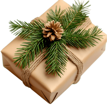 Festive Golden Christmas Present with Green Pine Decoration png
