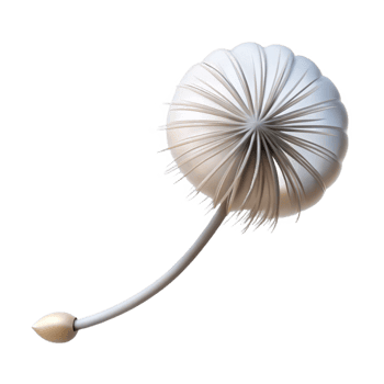 magnificent abstract A single dandelion seed floating in the wind, soft focus, minimalist style premium png