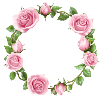 Pink rose flower wreath with green leaves on decorative floral frame png