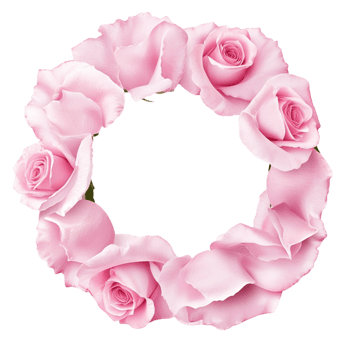 Pink rose flower wreath on floral decorative frame png