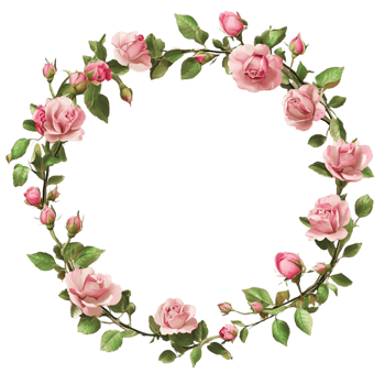Pink rose flower wreath with green leaves on floral decorative frame png