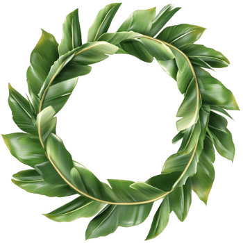 Green laurel wreath made of fresh leaves on natural botanical frame png