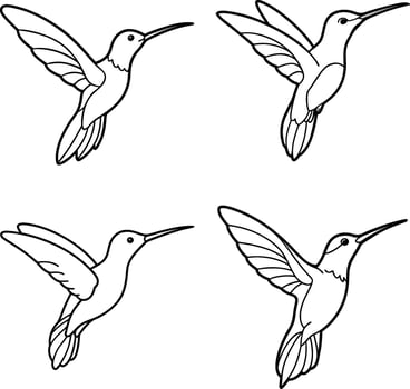 Bird Sketch Line Art Collection Outline Drawing Set of Birds vector