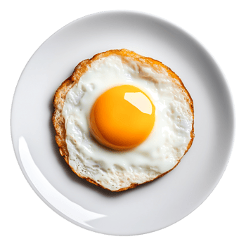 Freshly Cooked Fried Egg on White Plate Against Plain Background png