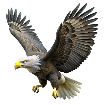 serene classic A majestic bald eagle soaring through a thunderstorm, dramatic lighting, realistic style, detailed feathers high quality png